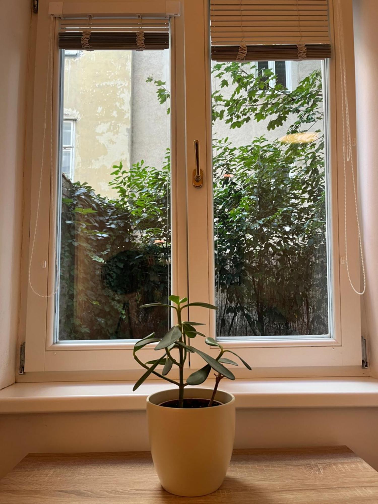 Quiet Apartment Next To Belvedere & Central Station Vienne Extérieur photo